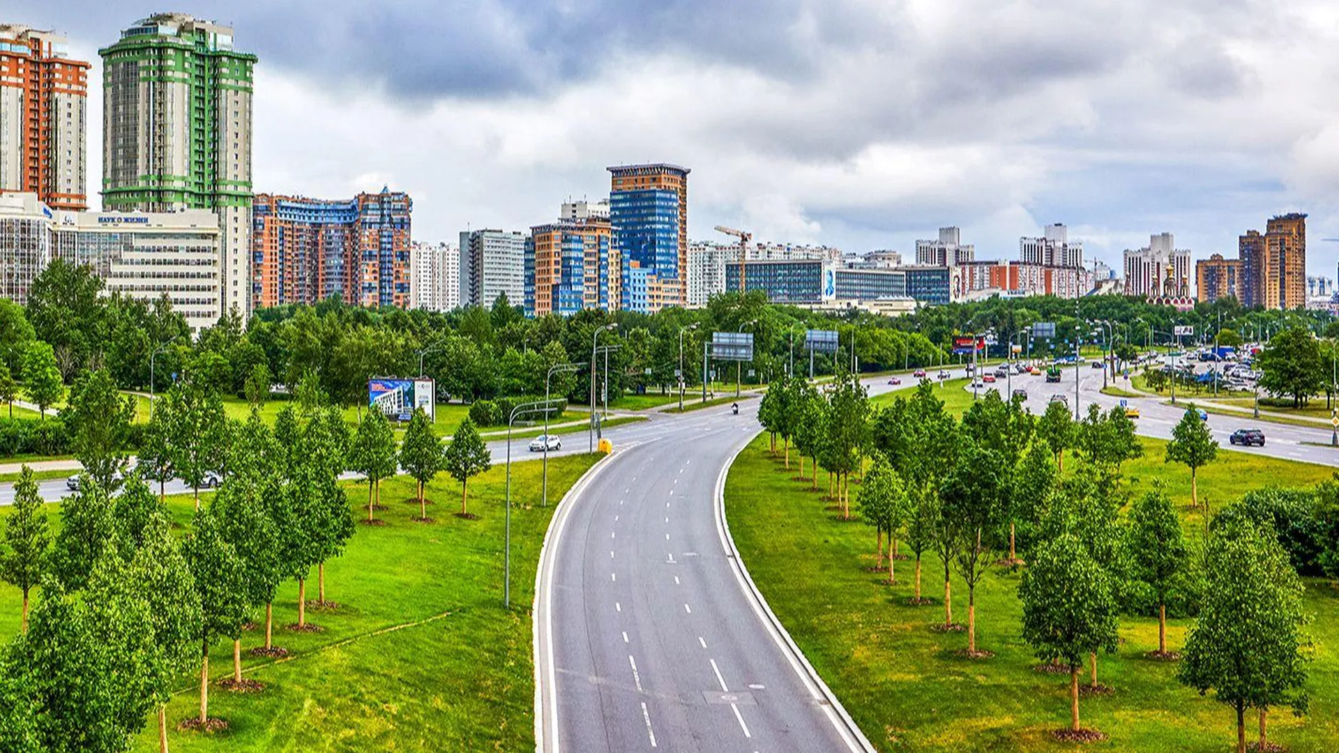 Более 4 тысяч новых деревьев высадят на магистралях Москвы поздней осенью