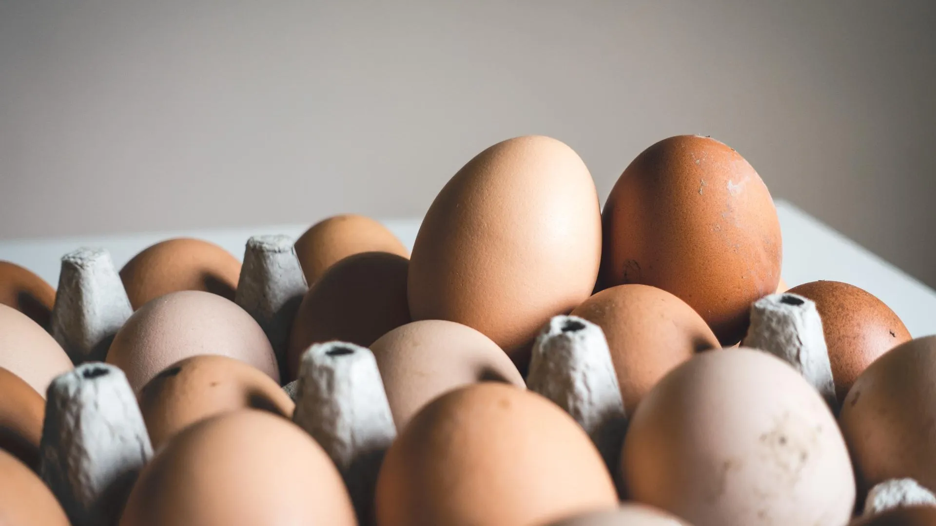 Экономист Сальников объяснил, почему импортные яйца не попали на полки магазинов