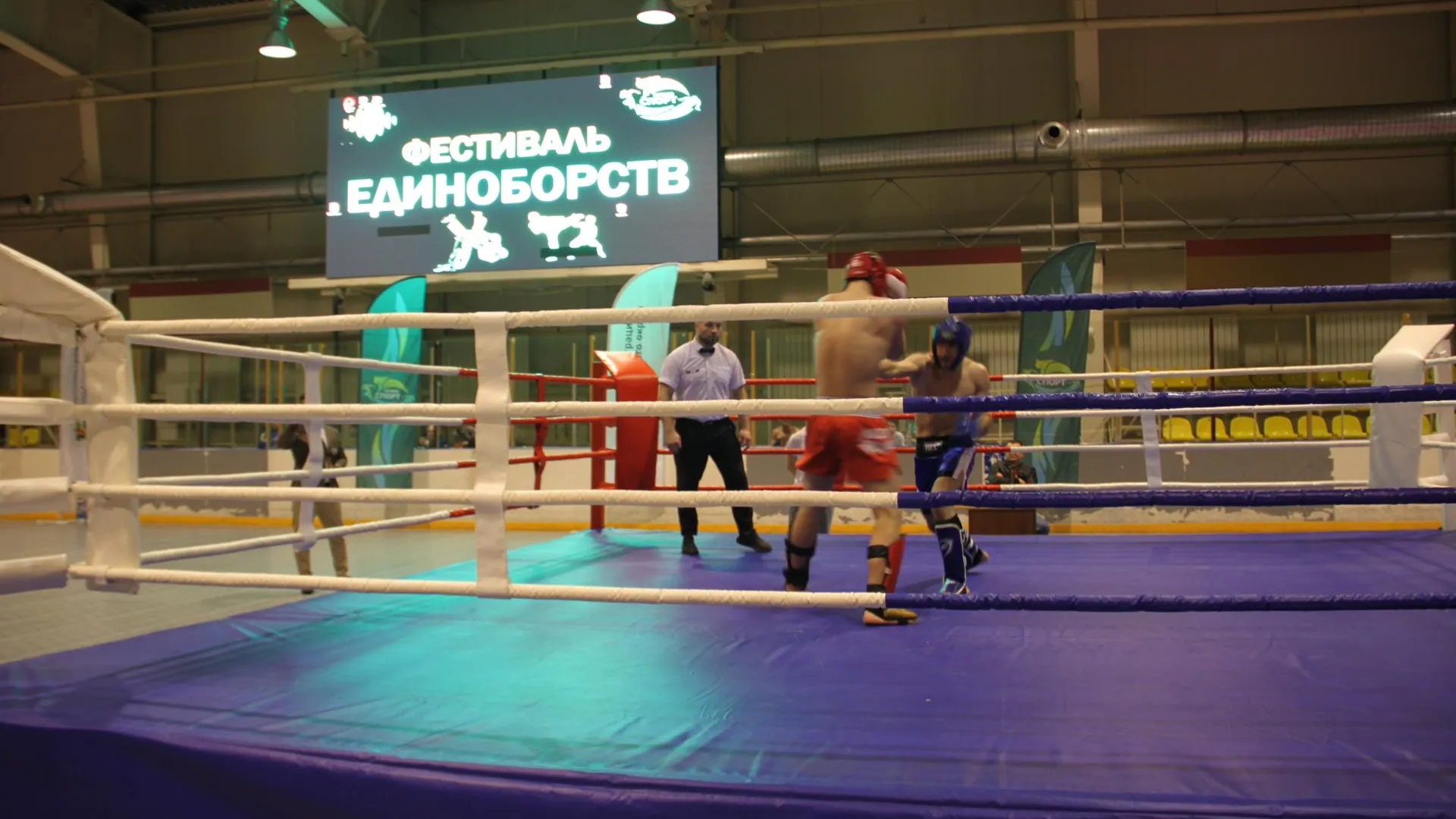 Новый ринг приобрели для спортсменов в Клину в рамках народной программы «Единой России»