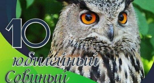 В Подмосковье 25 мая пройдет юбилейный фестиваль, посвященный совам