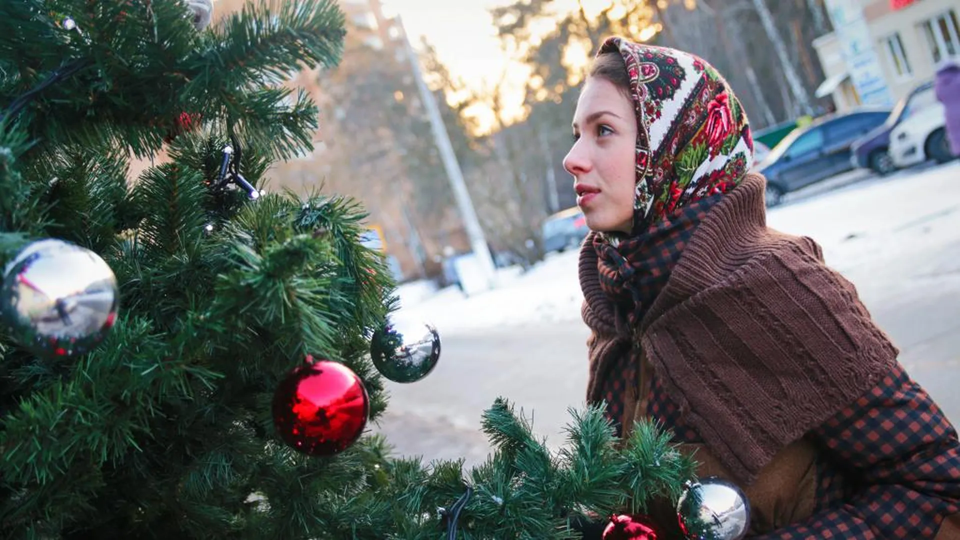 Где купить живую елку в Москве на Новый год 2024: 10 интернет‑магазинов