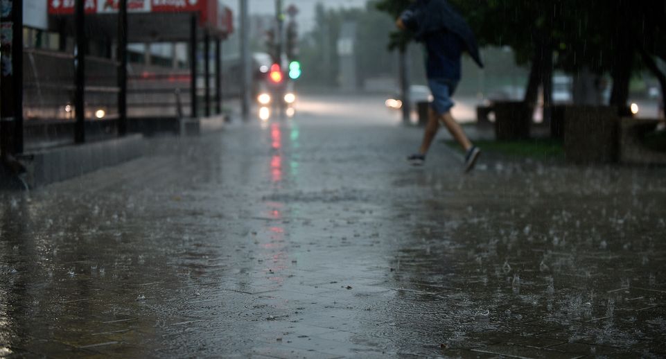 Синоптик Колесов: 3 июля в Петербурге пройдут дожди