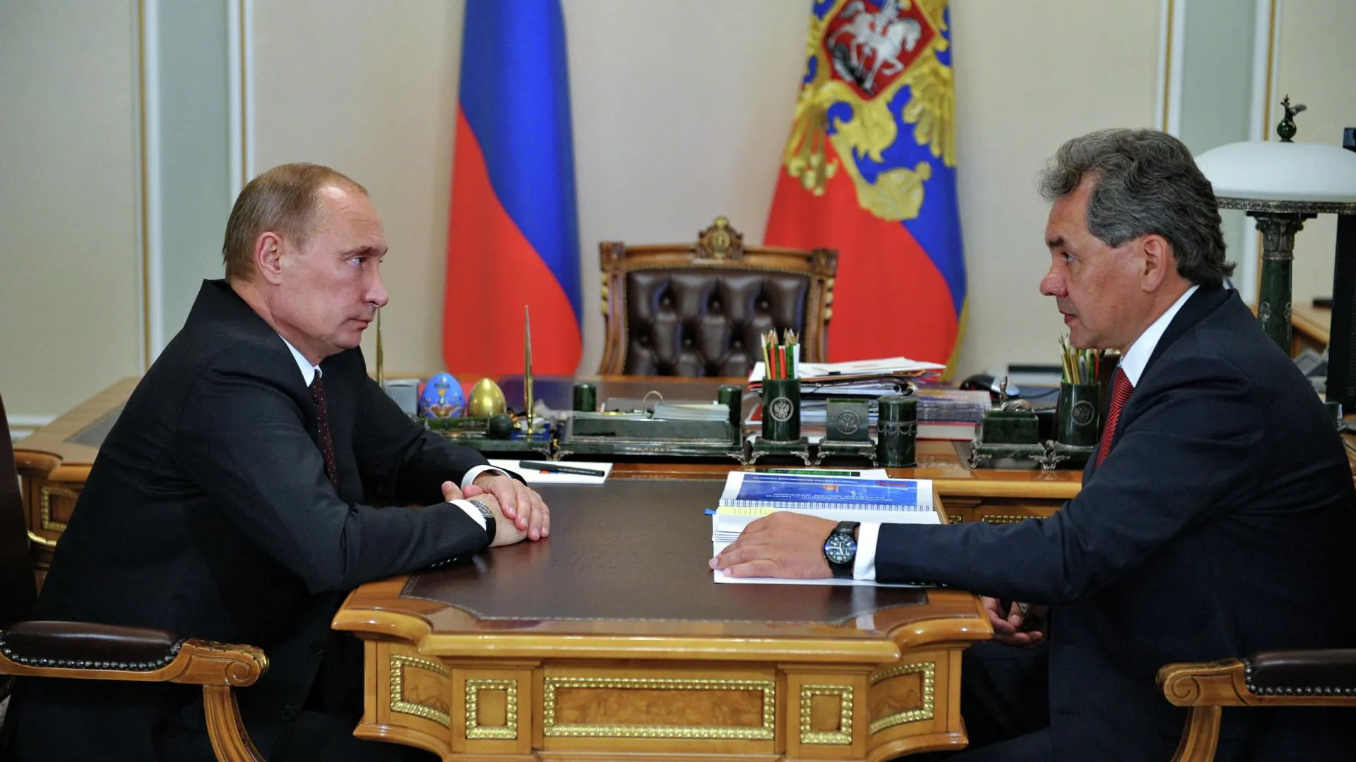 Путин обсудил с Шойгу малую авиацию и восстановление лесов региона