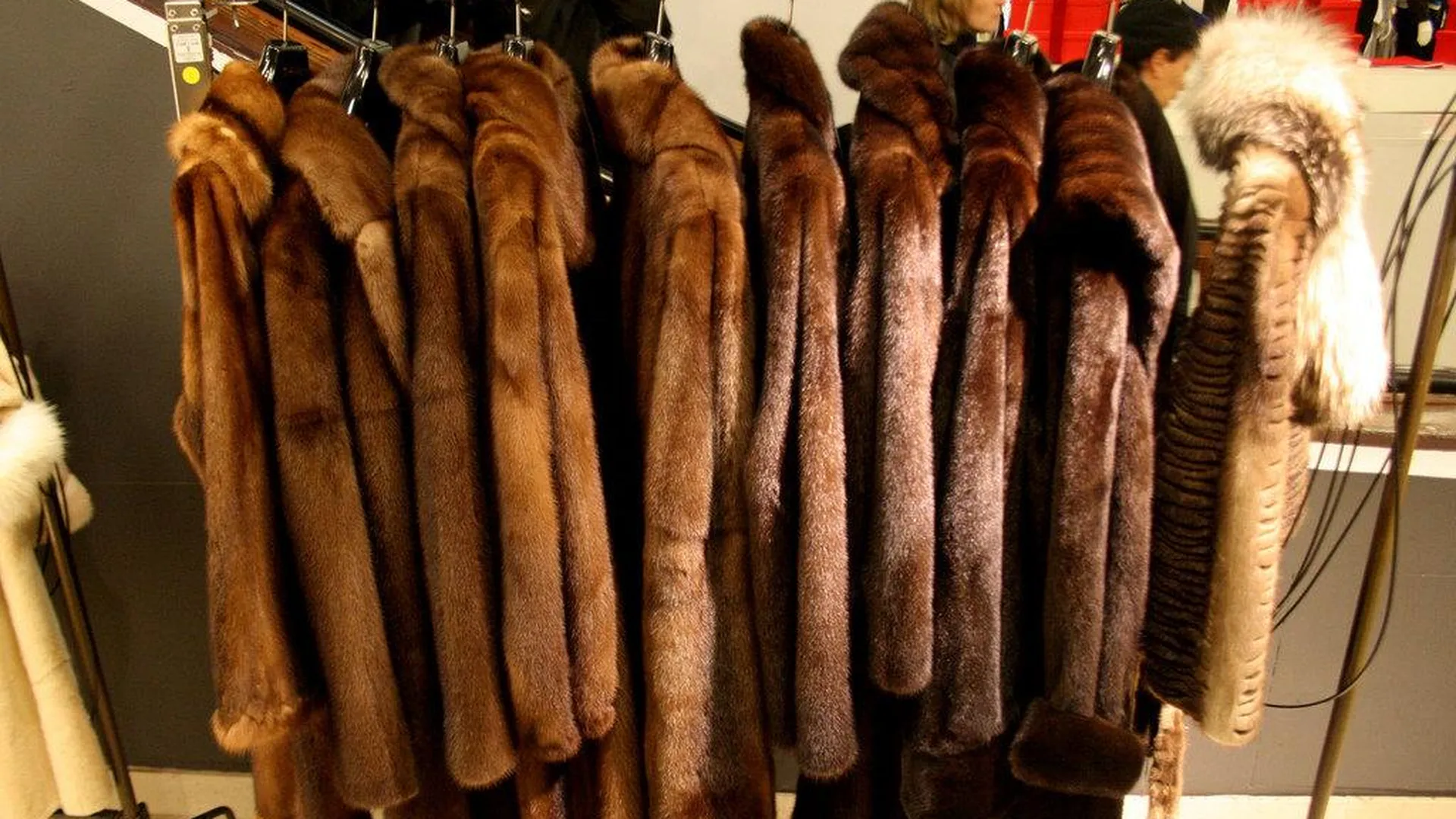 Где В Волгограде Можно Купить Шубу