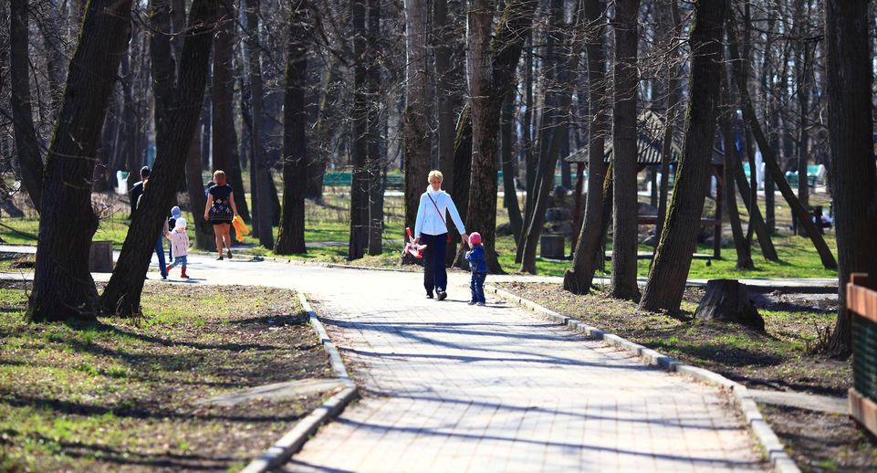 В Сергиево-Посадском округе проведут работы по содержанию дворовых территорий