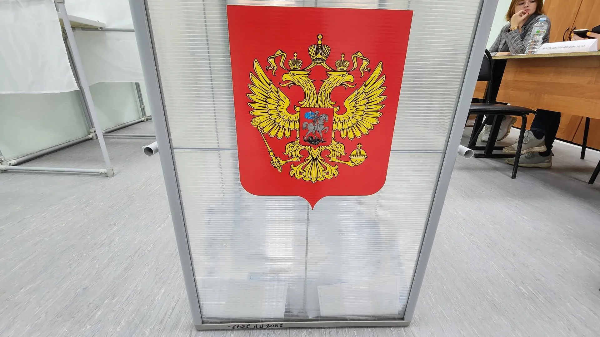 В ЦИК назвали Подмосковье лидером в РФ по прозрачности и удобству голосования