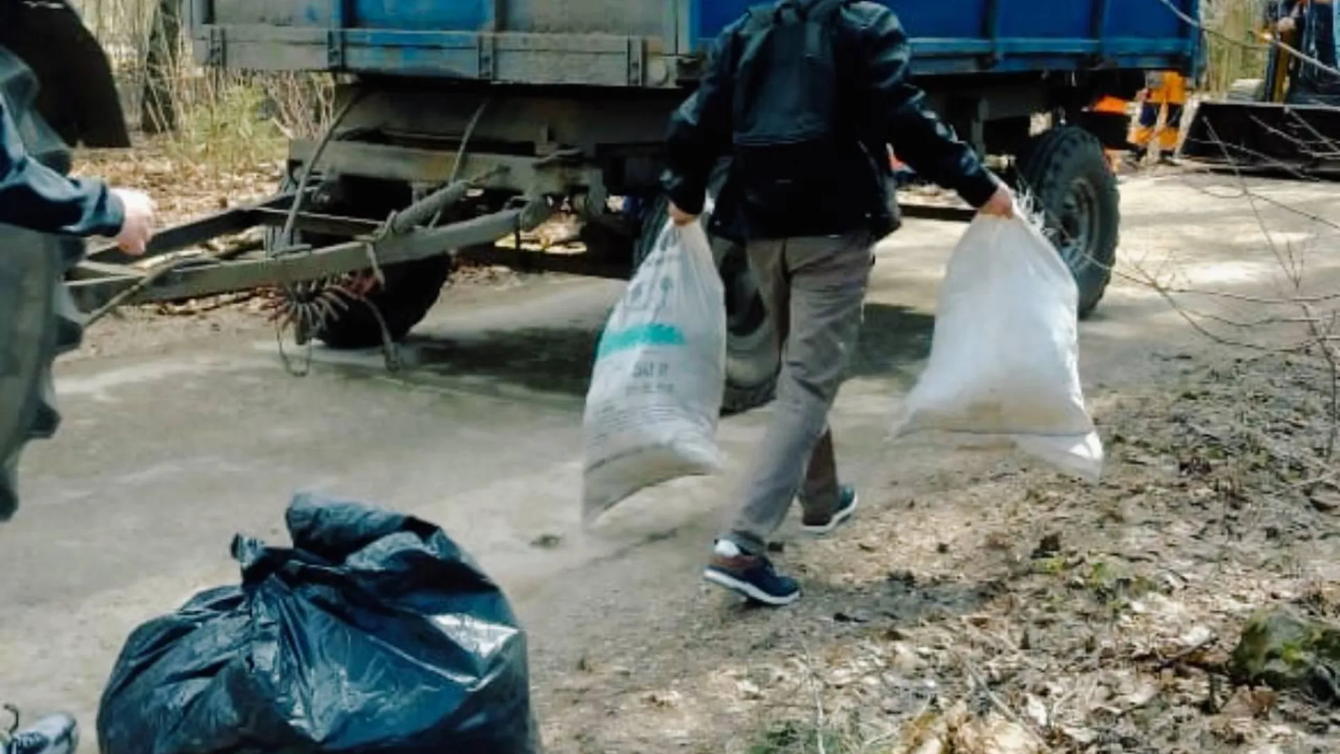 В Звенигороде очистили от мусора 2 га леса
