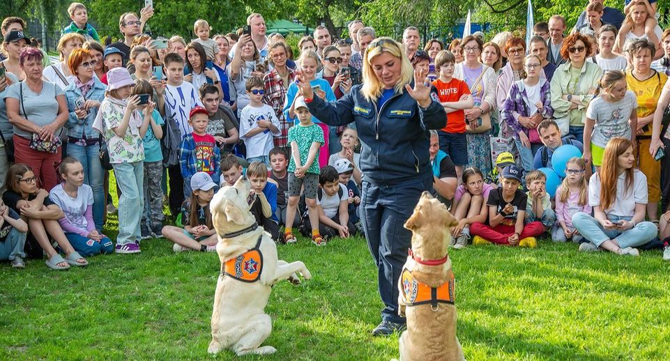 Показательные выступления собак-поисковиков состоятся в парке 850-летия Москвы