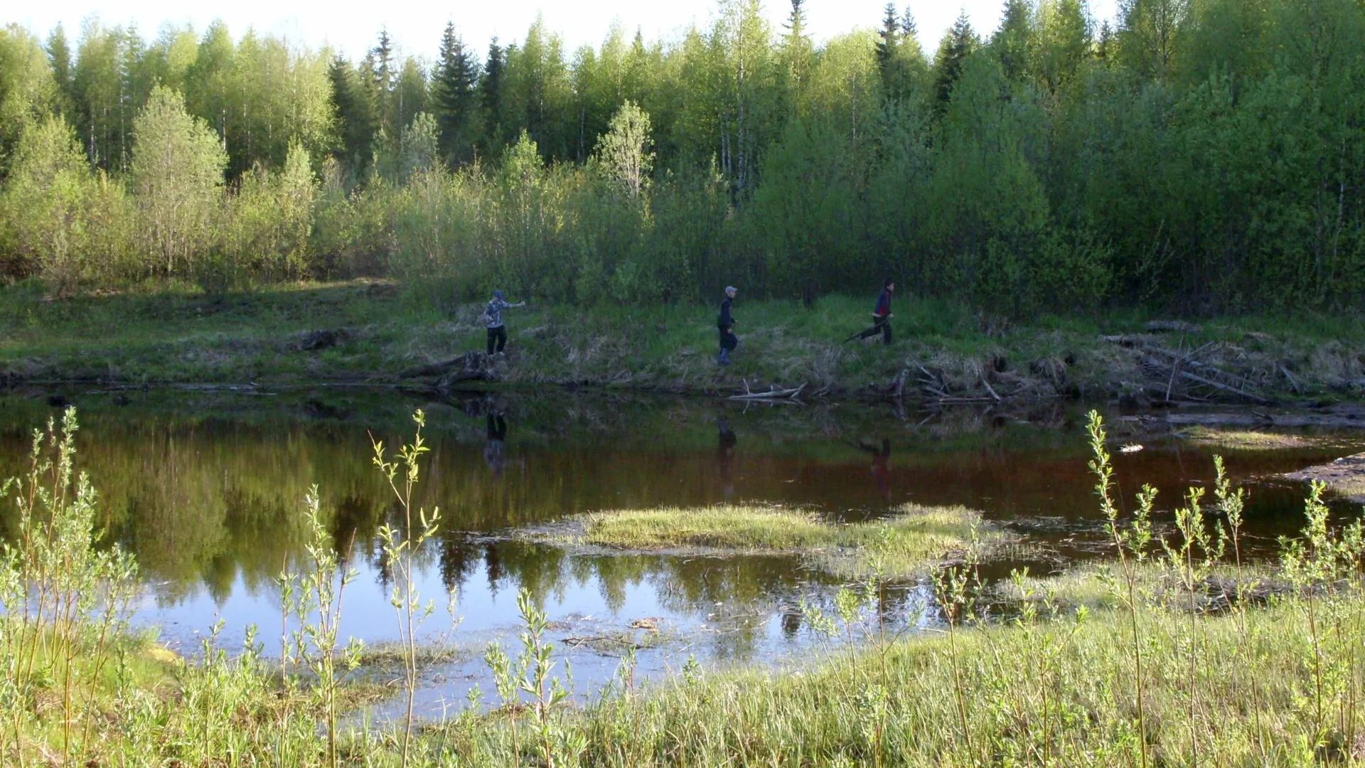 ГВП выявила факты незаконной продажи лесов по приказу Сердюкова