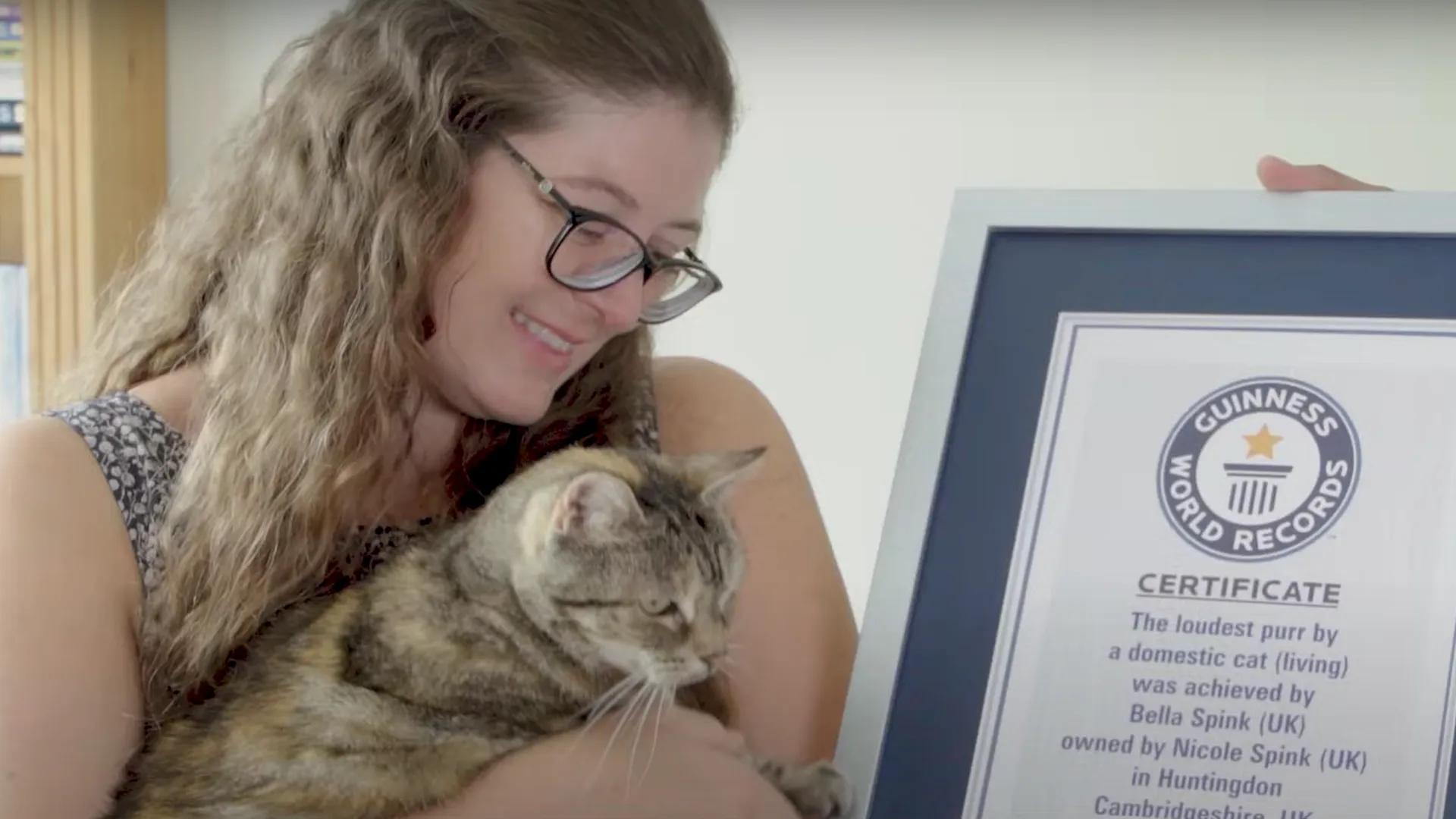 14‑летняя кошка из Британии поставила рекорд по самому громкому мурлыканью