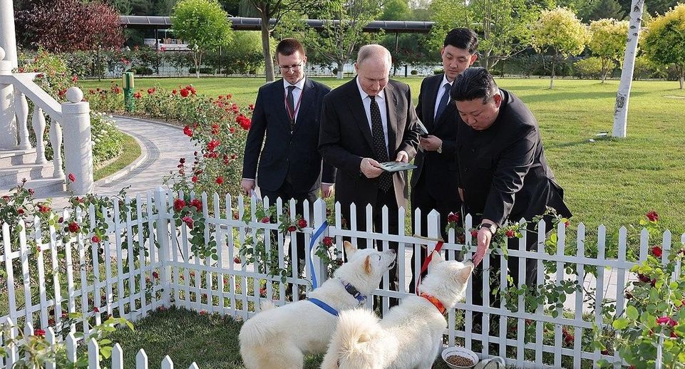 Политолог Симонова объяснила значение необычного подарка Путину от Ким Чен Ына