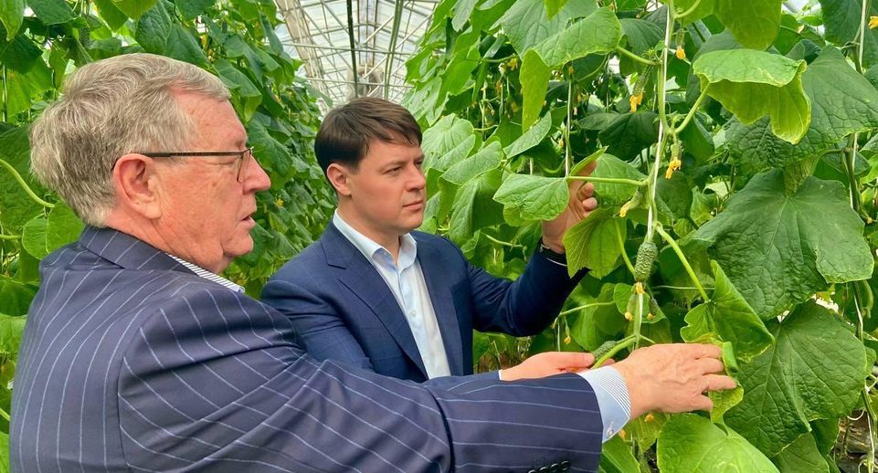 Мурашов: отечественное семеноводство — основа продовольственной безопасности страны