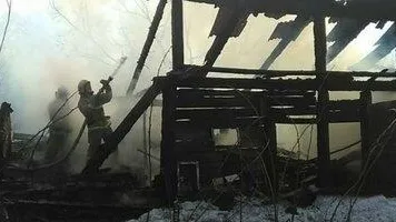 Пожар произошел в хозяйственной постройке в Пушкинском округе