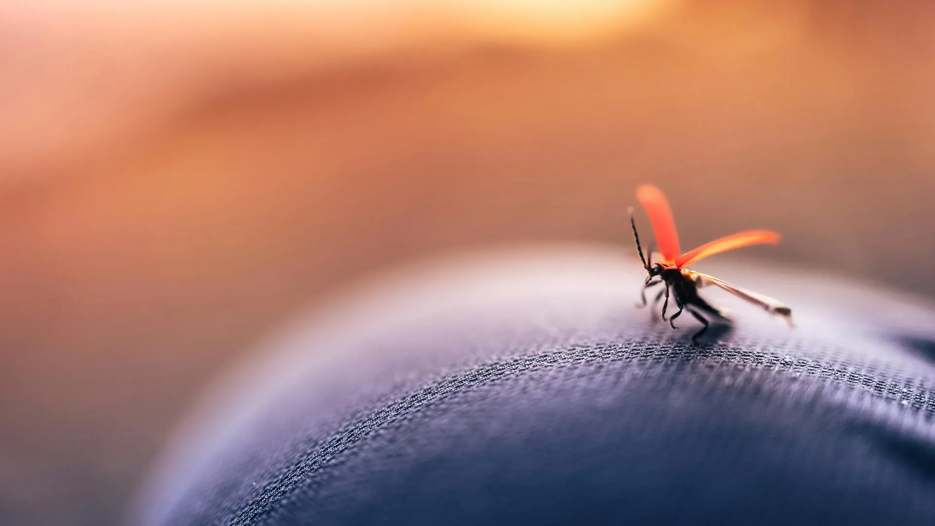 Малярия и туляремия: россиянам назвали страшные болезни, переносимые комарами