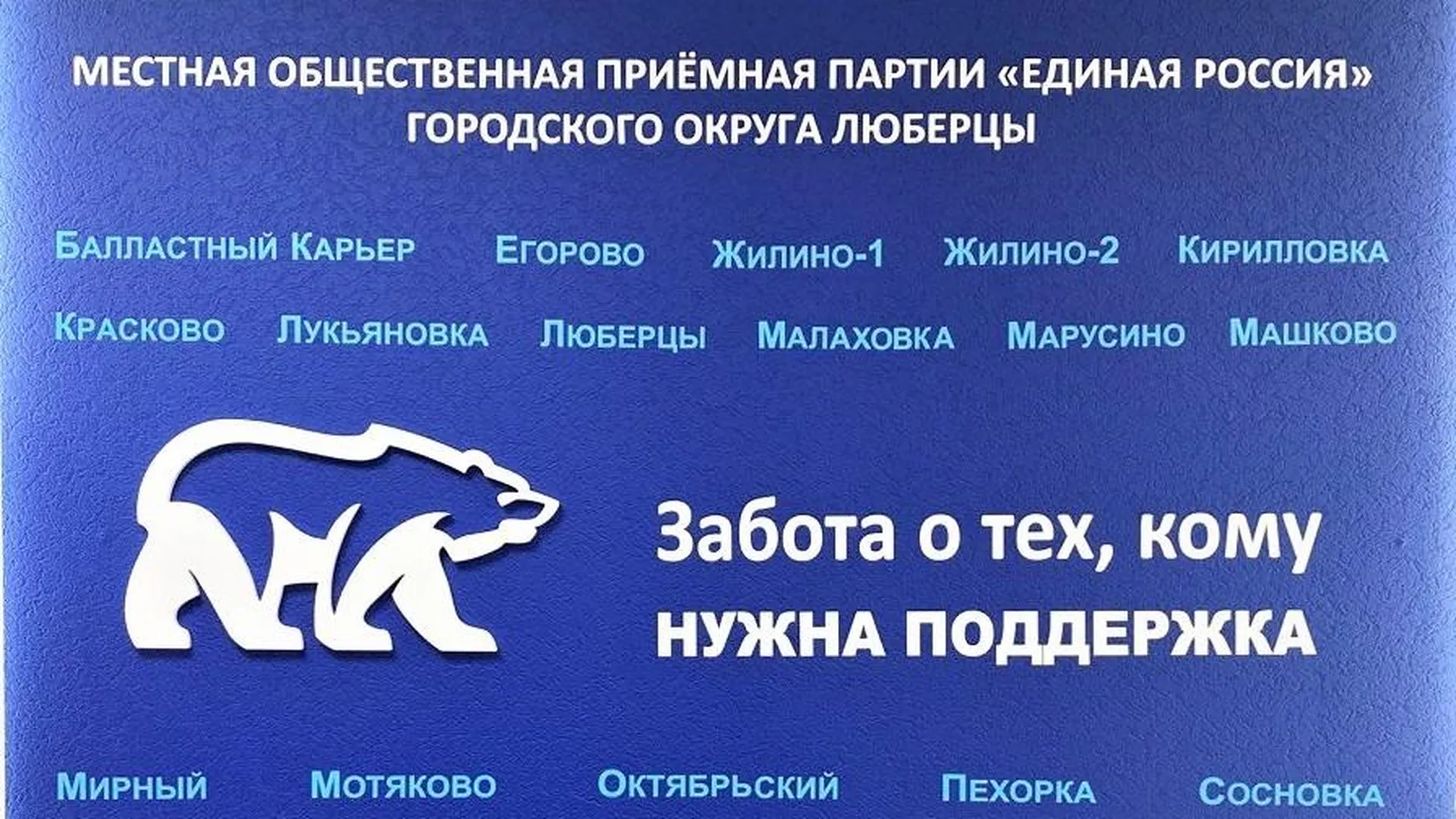 В Люберцах «Единая Россия» выдвинула кандидатов на осенние выборы | РИАМО в  Люберцах