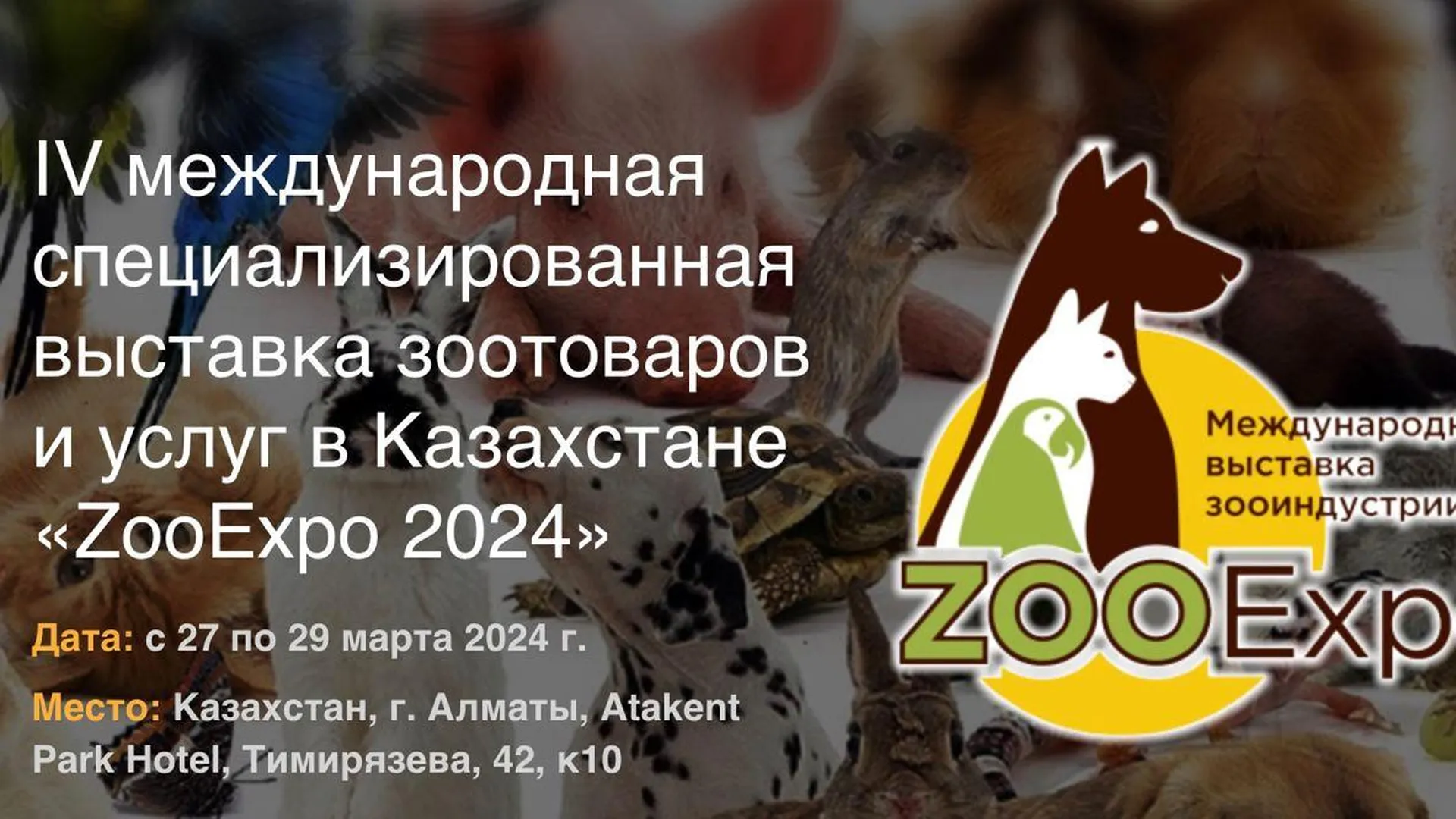 Одежду для домашних животных из Подмосковья презентовали в Казахстане