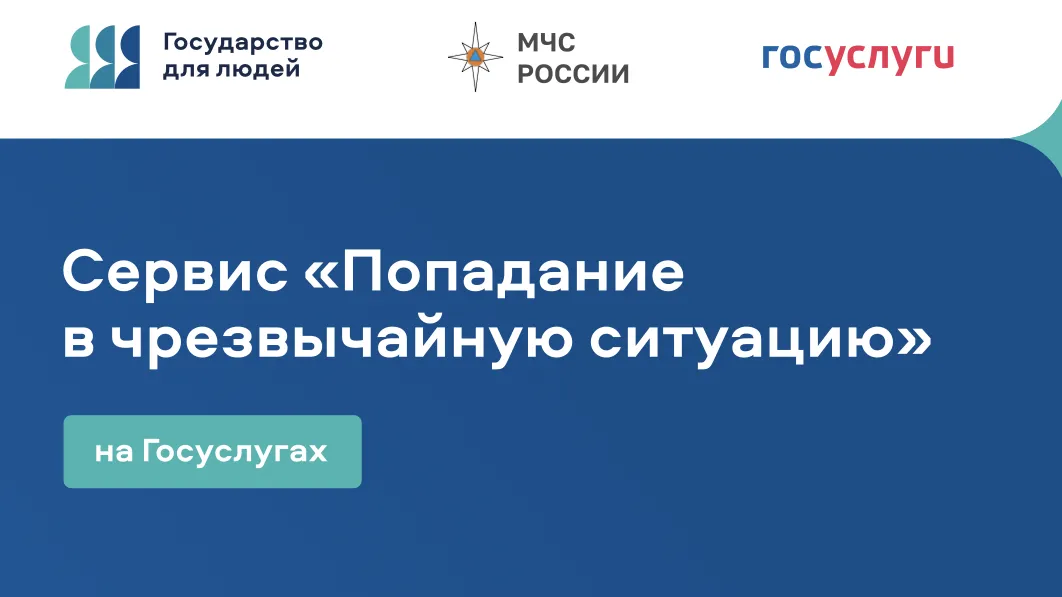 Жителям Подмосковья напомнили о цифровом сервисе «Чрезвычайная ситуация»