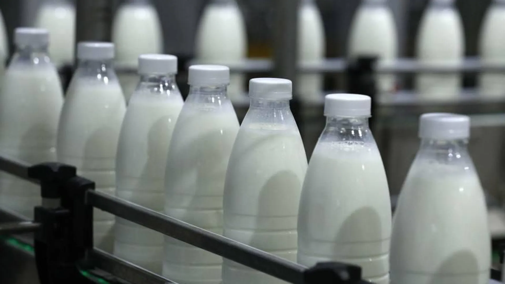 Минсельхозпрод Подмосковья поддержал 12 производителей молочной продукции
