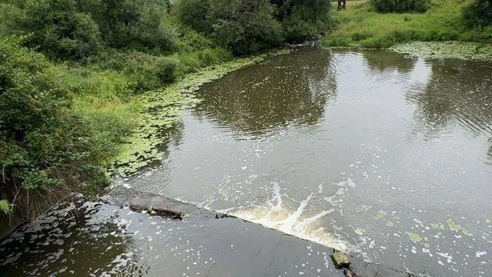 В собственность Одинцова передана плотина на реке Вяземка