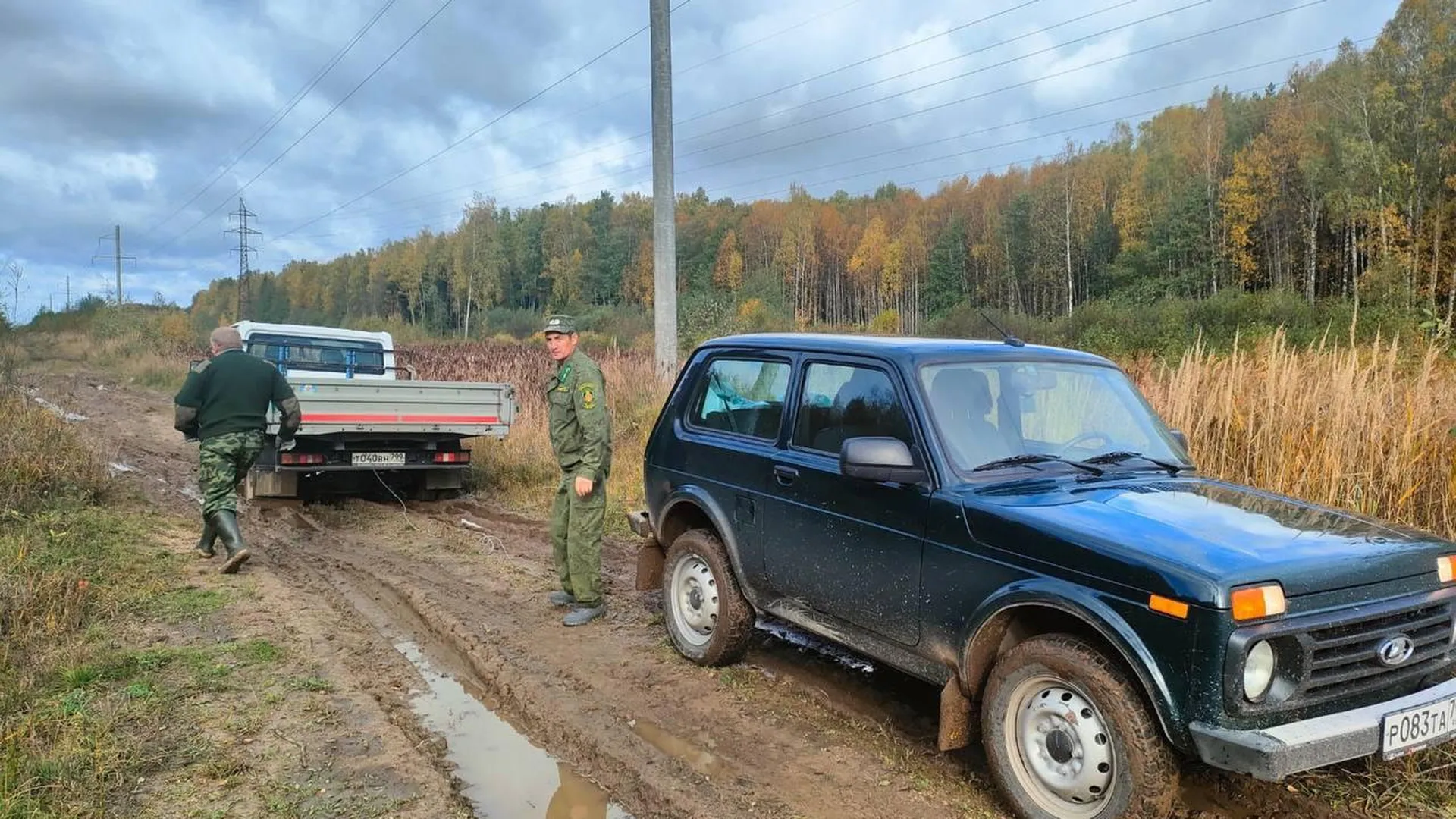 Лесничие из Талдома помогли автомобилисту выбраться с размытой дороги |  РИАМО