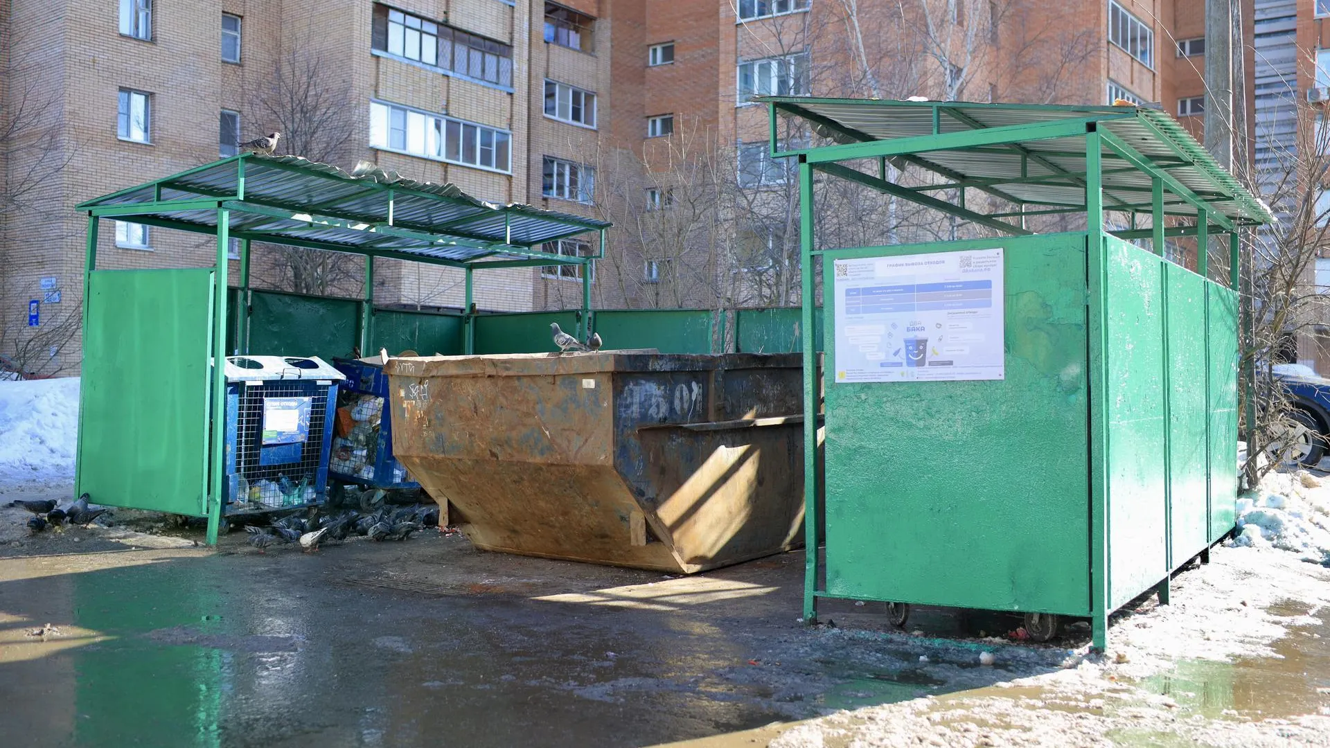 Более 300 мусорных навалов устранили в Подмосковье благодаря чат-боту ТКО в марте