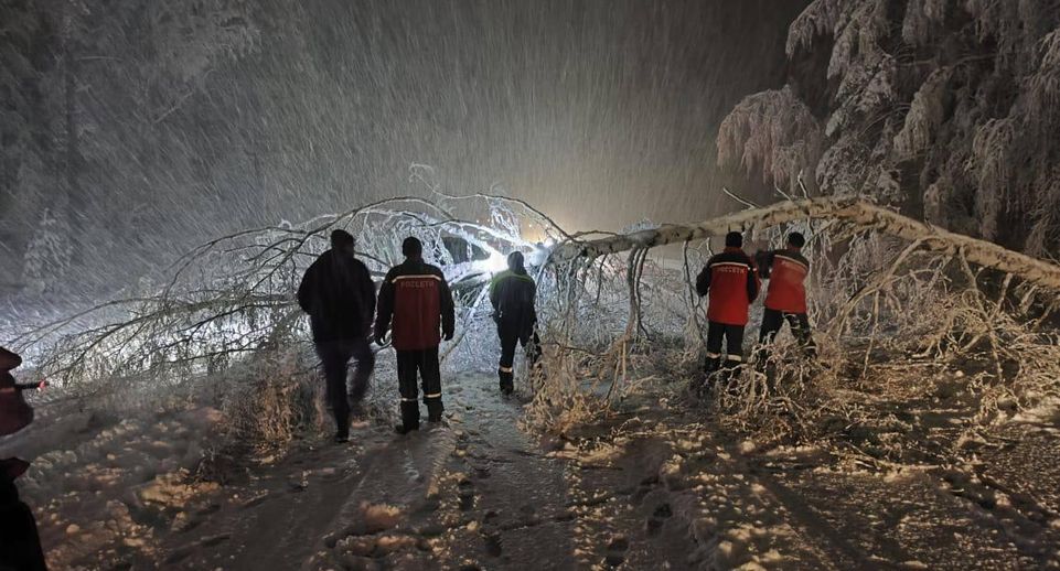 В Свердловской области снегопад валит деревья
