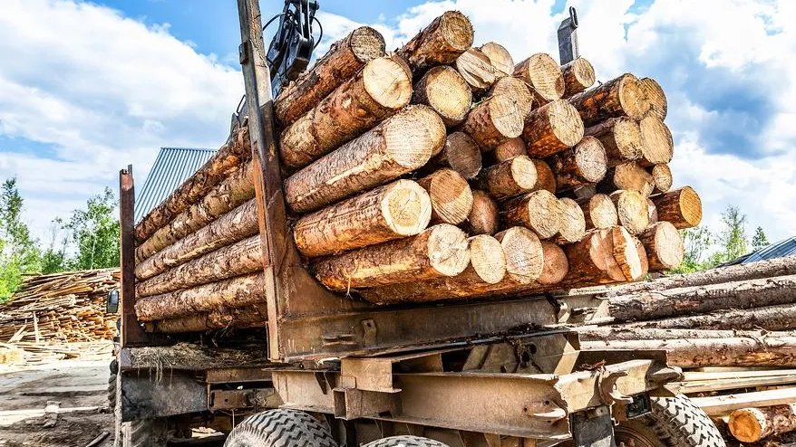 Эксперт: РФ переориентировала экспорт леса в сторону азиатских рынков