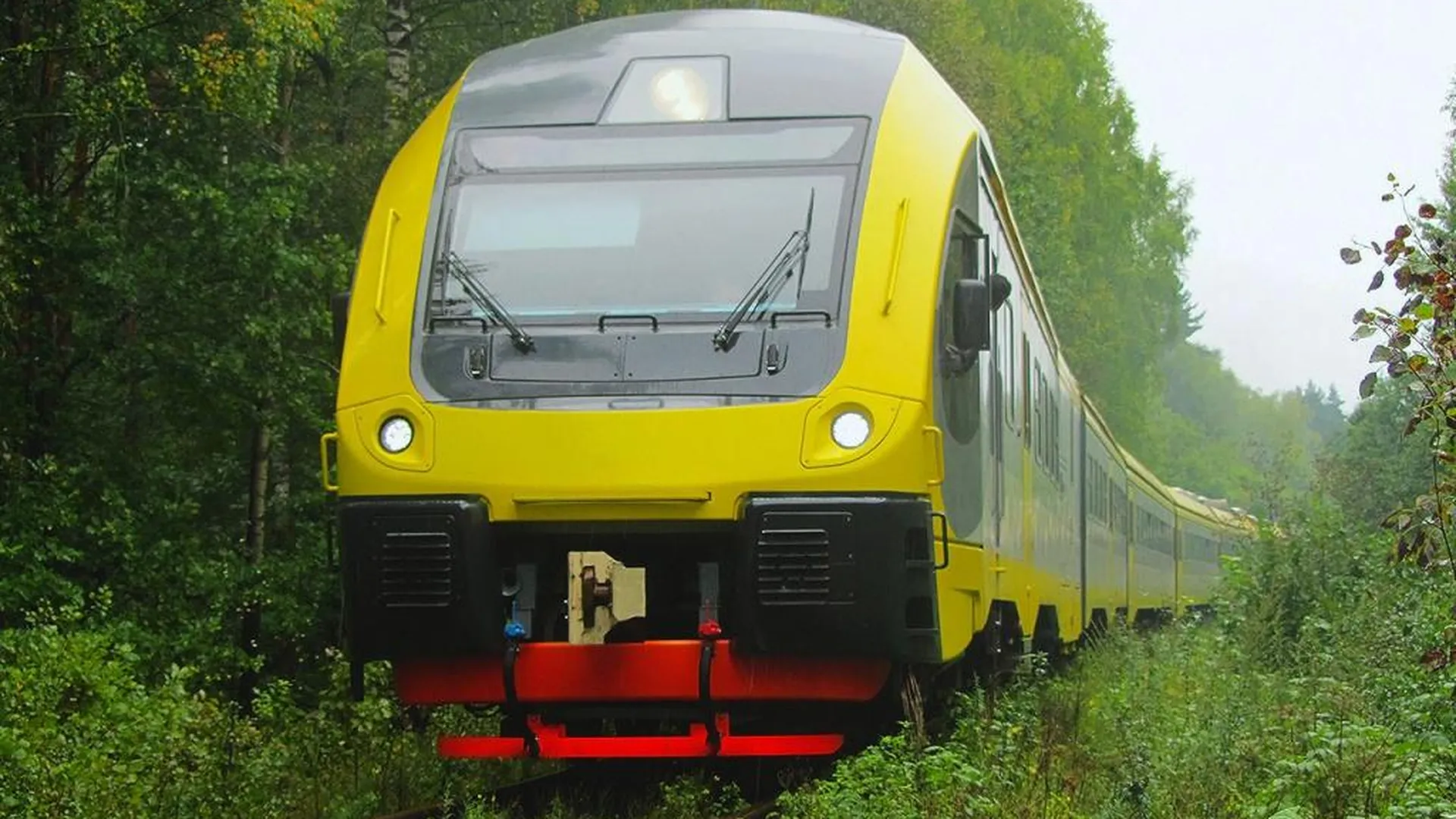 Инновационный дизель-поезд стартовал на маршруте Голутвин — Озеры в области
