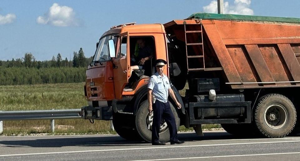 Компанию из Дмитровского округа оштрафовали за перевозку стройотходов