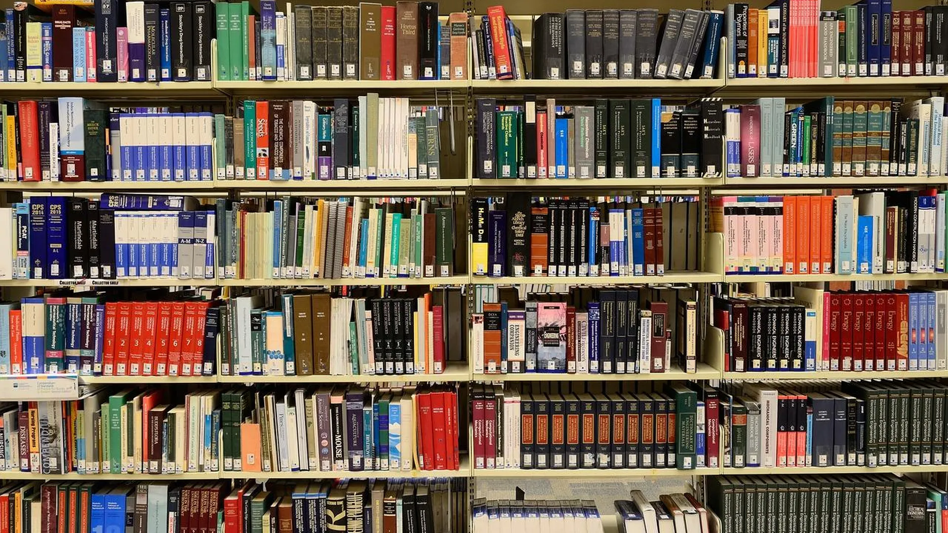 5 столичных библиотек после ремонта откроют в рамках акции «Библионочь»