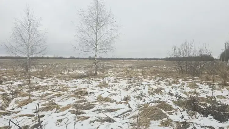 Больше всего лотов на земельно-имущественные торги выставили в Рузе и Ступине