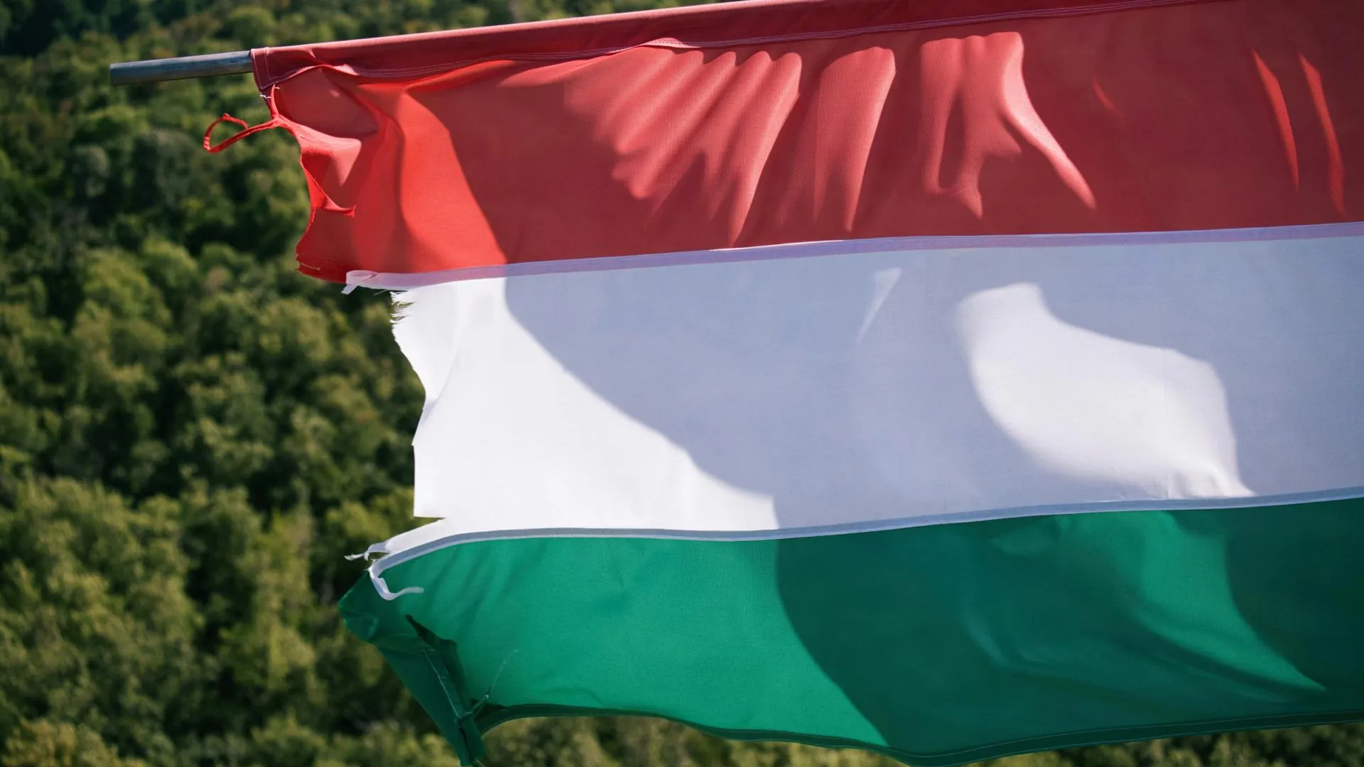 Венгрия заблокировала резолюцию по Украине из-за «мирного плана» Зеленского