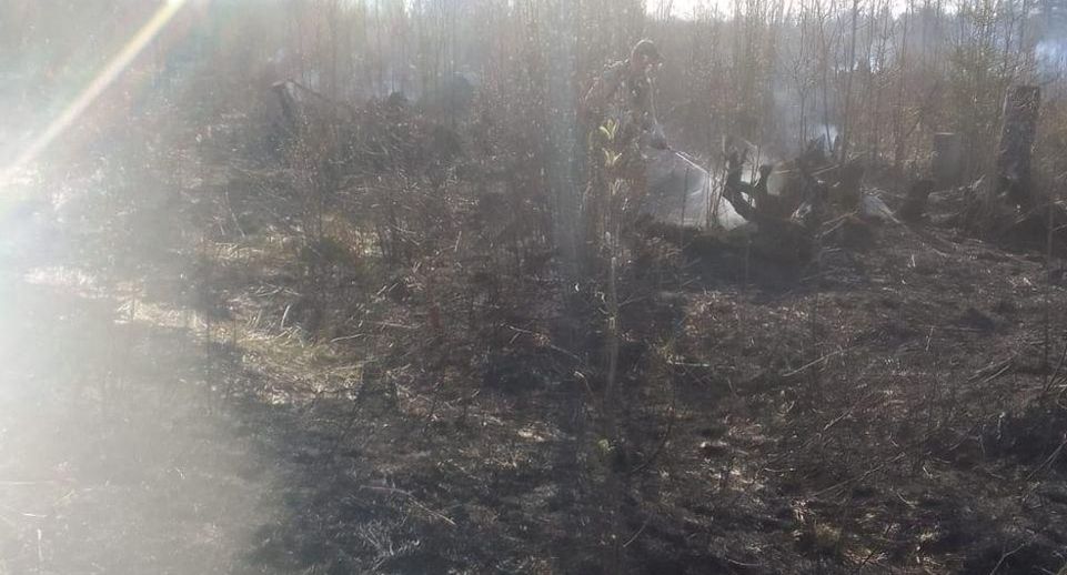Лесной пожар ликвидирован в Павловском Посаде