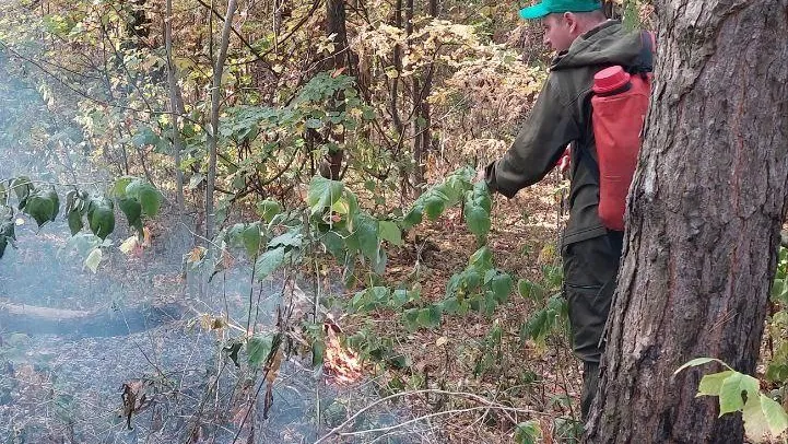 На большей части Подмосковья 19 сентября ожидается V класс пожарной опасности