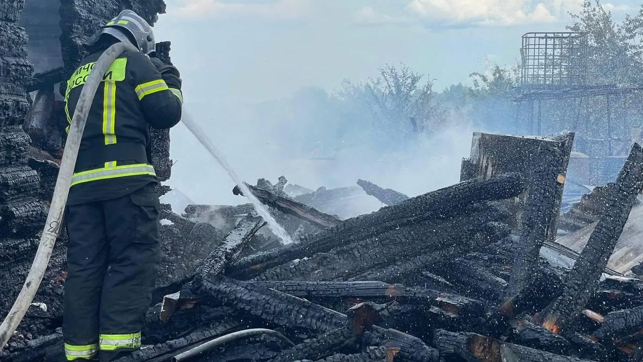 Пожарные спасли деревню от огня в Сергиевом Посаде