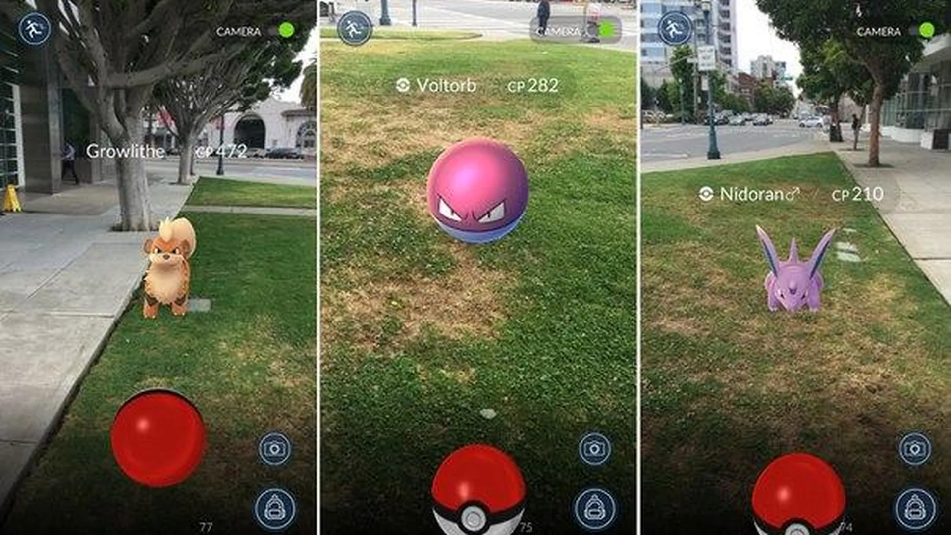 Интернет-омбудсмен уверен, что Pokemon Go не опасна для детей | РИАМО