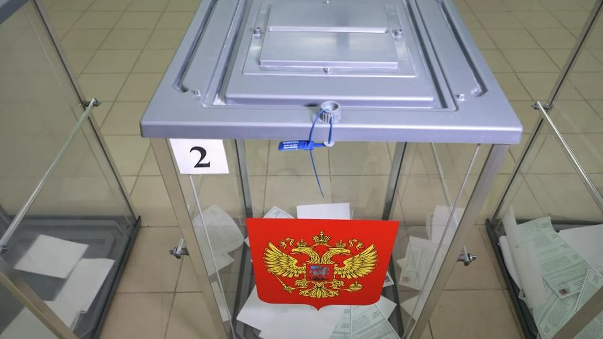 Неизвестный распылил газ на избирательном участке в Петербурге