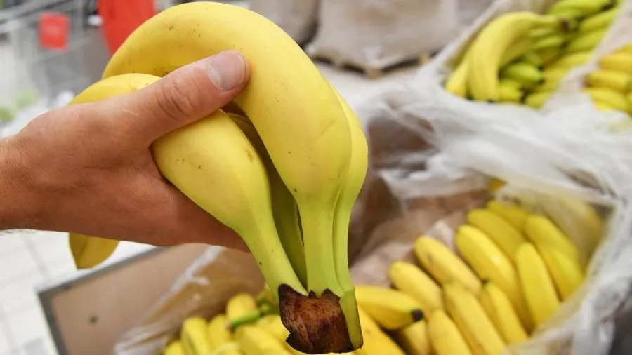 В Петербург морем привезли наркотики в коробках с бельгийскими бананами