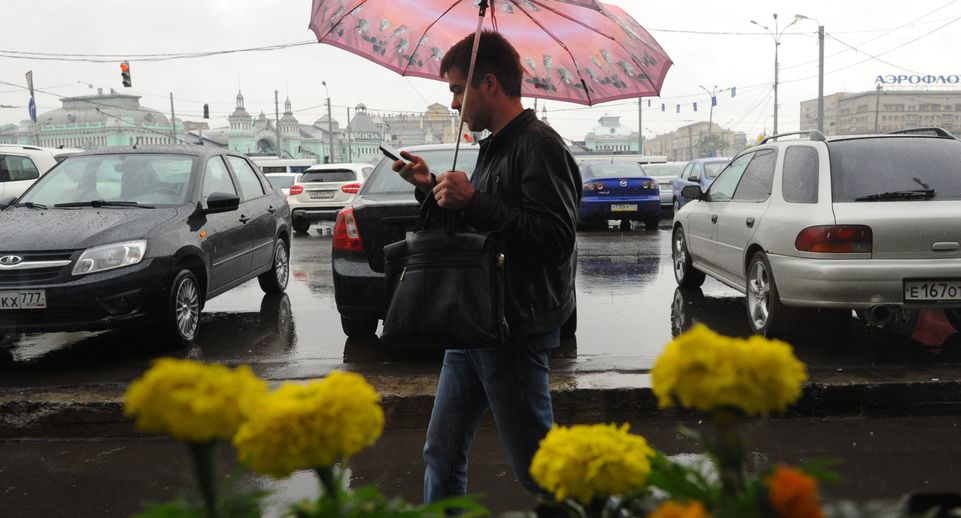Теплая погода и кратковременные дожди придут в Московский регион на выходных