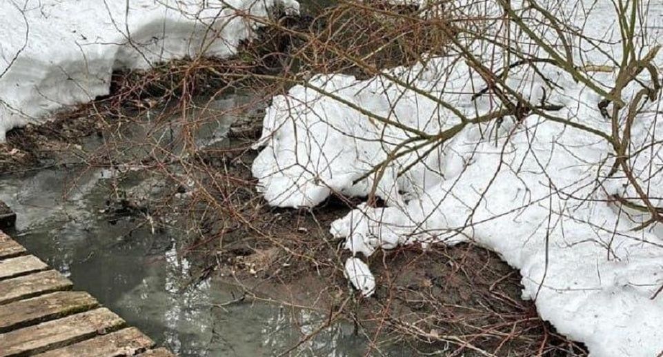В Красногорске устанавливают обстоятельства загрязнения водных объектов