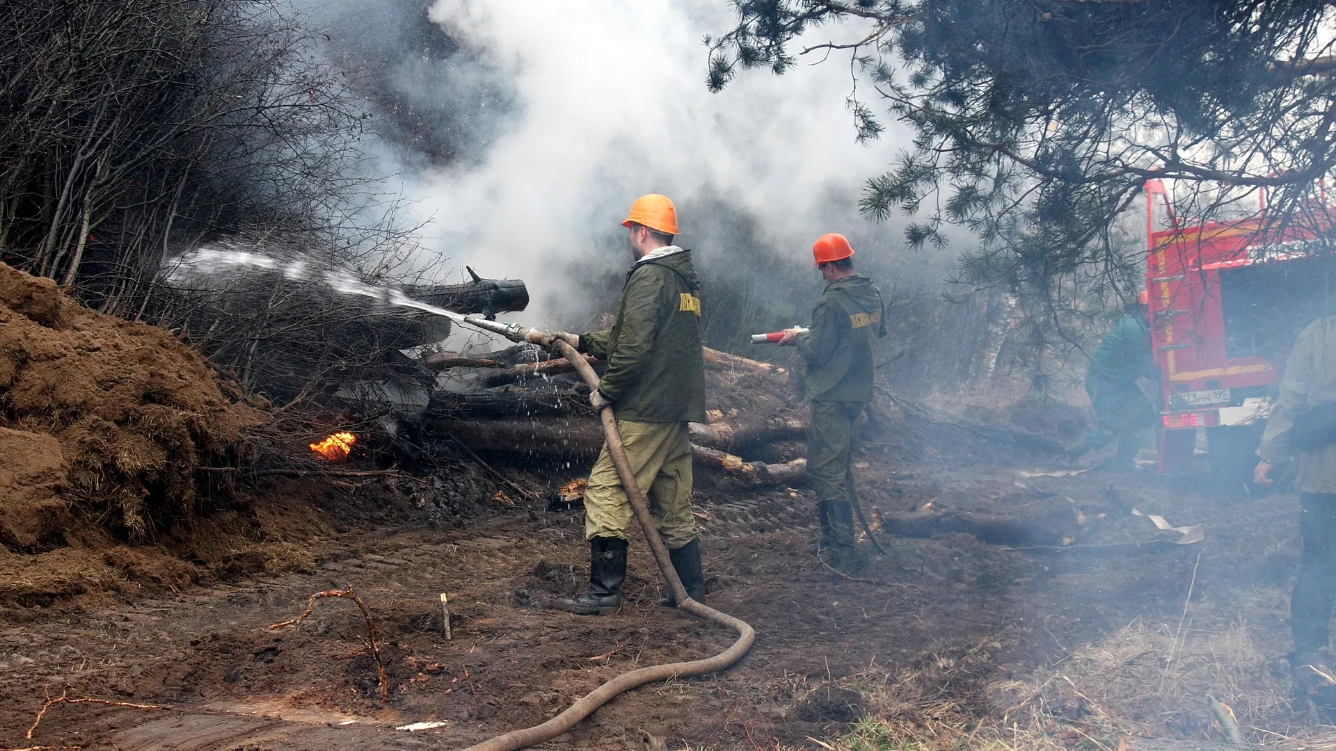 В Мособлдуме рассказали о последствиях пожаров для лесных зверей и птиц