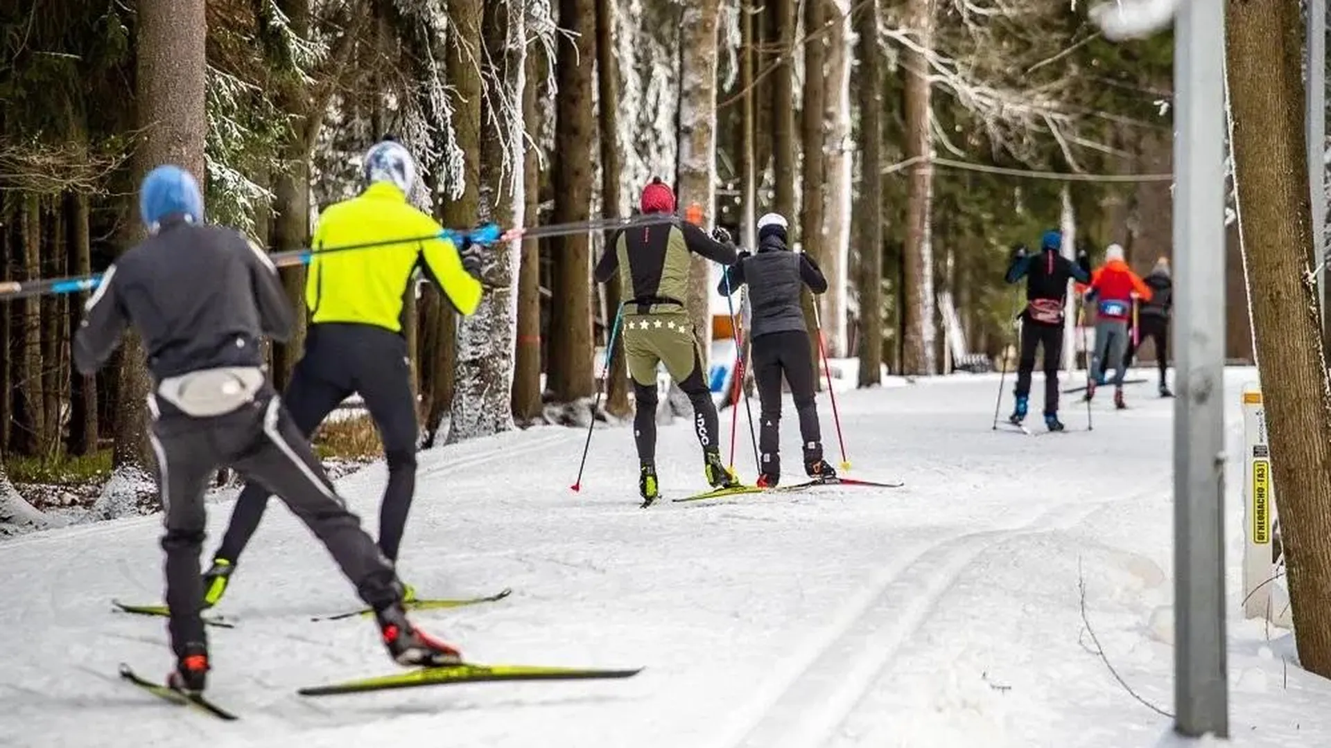 В Истре определили места для катания на лыжах