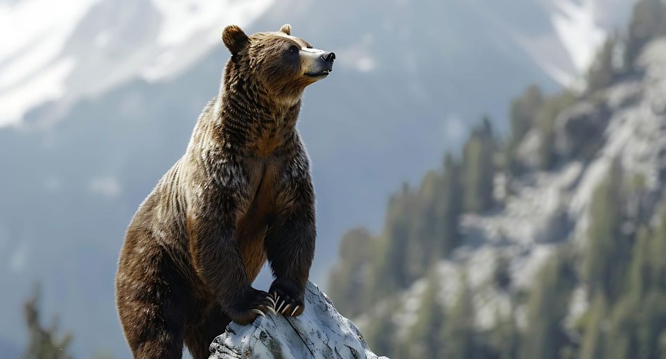 В Магаданской области пожилая женщина прогнала медведя палкой