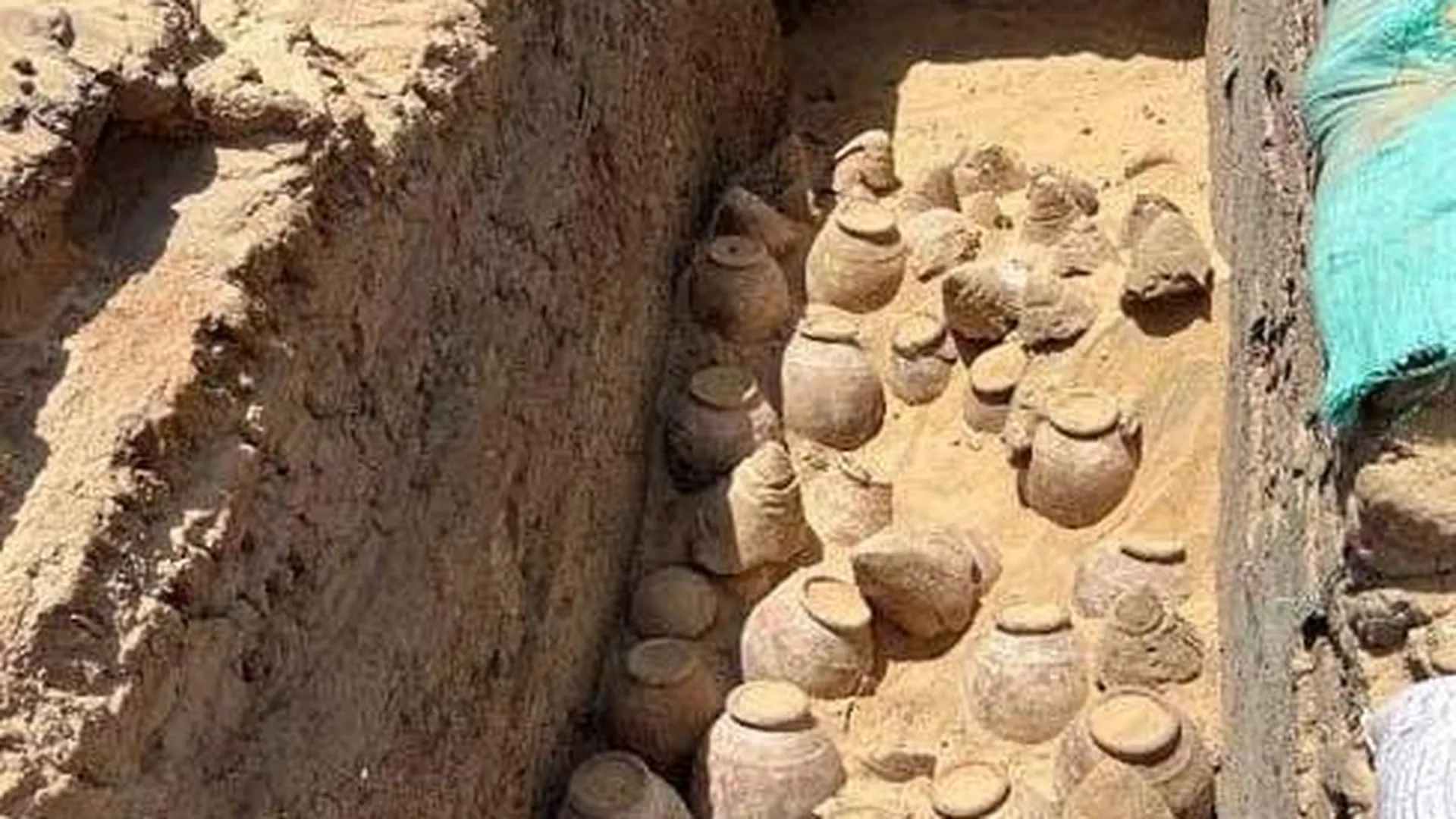 В Египте археологи обнаружили кувшины с вином возрастом 5 тыс лет