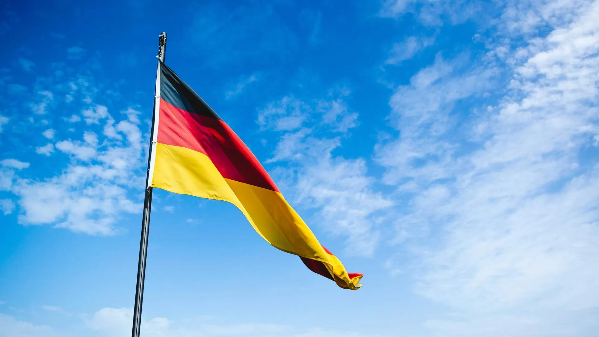В Германии подожгли летний домик главы Rheinmetall из-за поставок оружия ВСУ