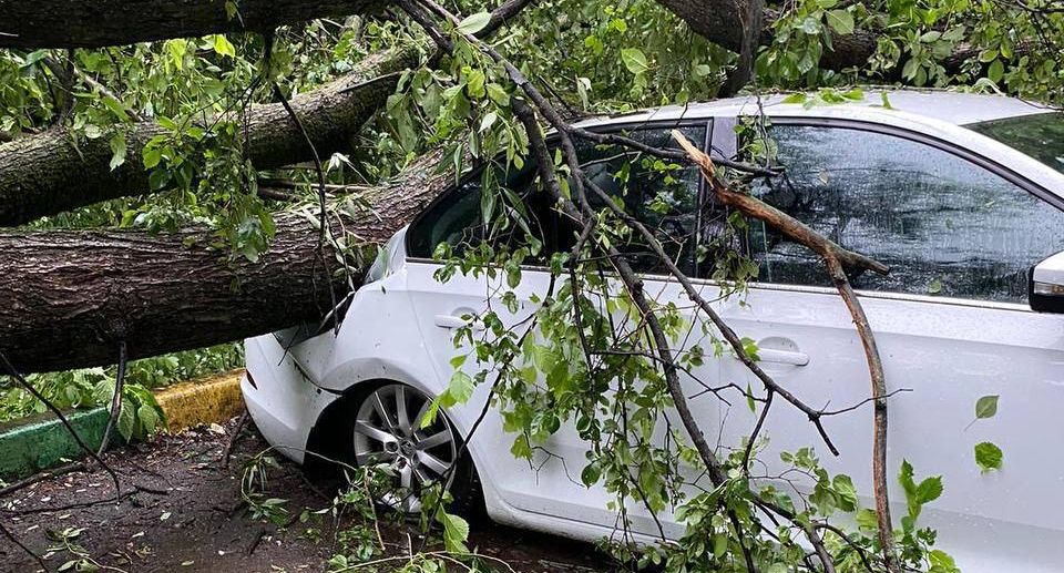 Свыше 500 авто получили повреждения из-за урагана в Московском регионе