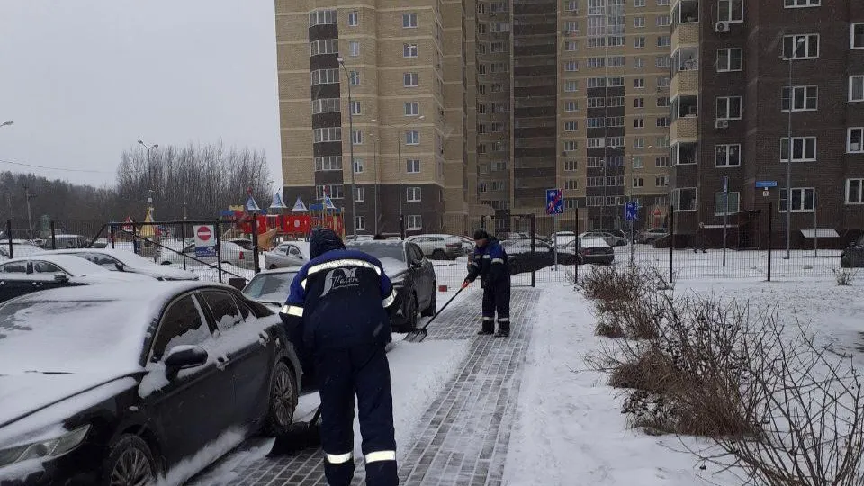 В Подмосковье поделились итогами работ инспекторского состава с 6 по 10 января
