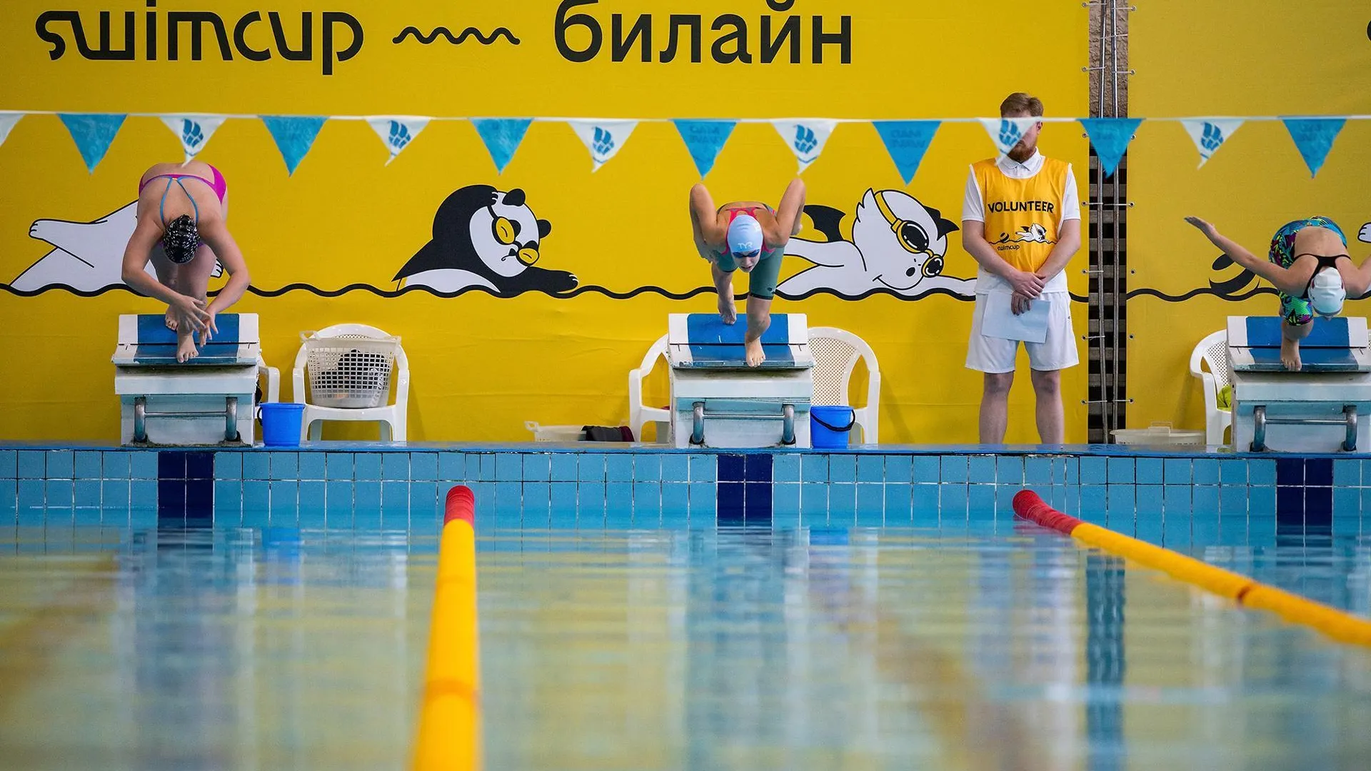 В Подмосковье до апреля пройдут 4 турнира по плаванию международной серии Swimcup