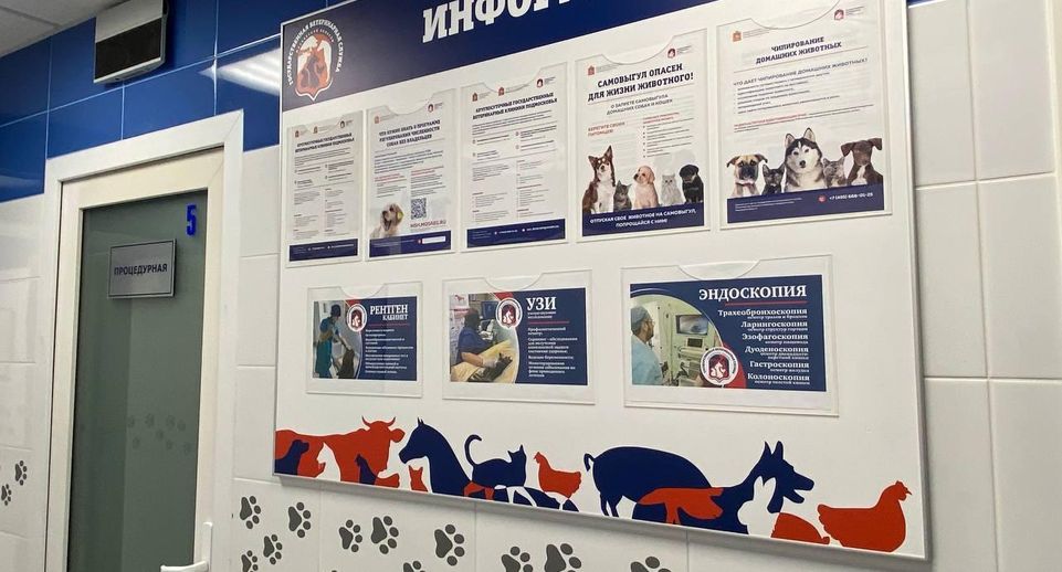 В Подмосковье опубликован рейтинг ветеринарных станций