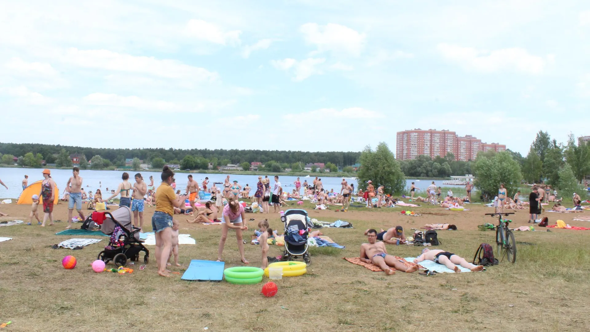 Коренево Фото Московская Область